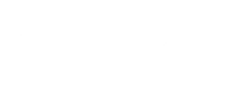 NATA USA White Logo